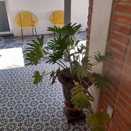 Estudio #5 Casa Fatima, 8 Min Del Centro 1 Persona Guadalajara Exterior photo