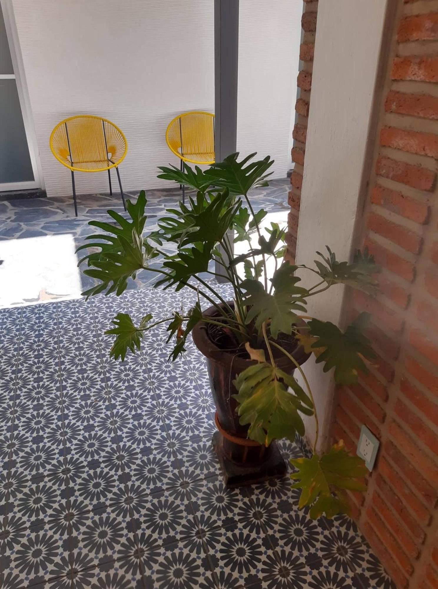 Estudio #5 Casa Fatima, 8 Min Del Centro 1 Persona Guadalajara Exterior photo